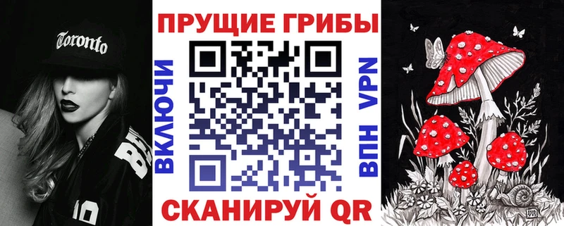 Галлюциногенные грибы Psilocybe Цоци-Юрт