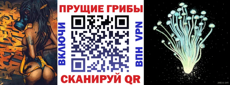 хочу ссылка на мегу как войти Псилоцибиновые грибы мухоморы Цоци-Юрт